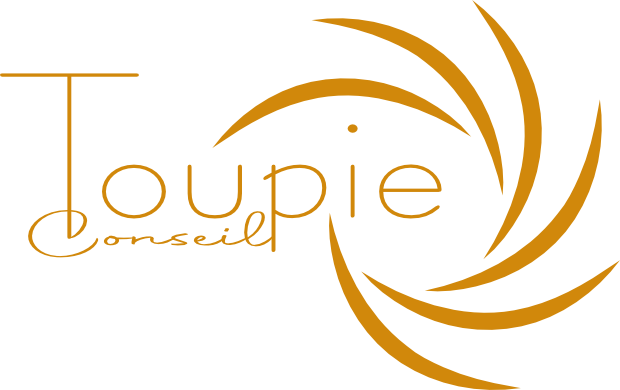 Logo Toupie Conseil